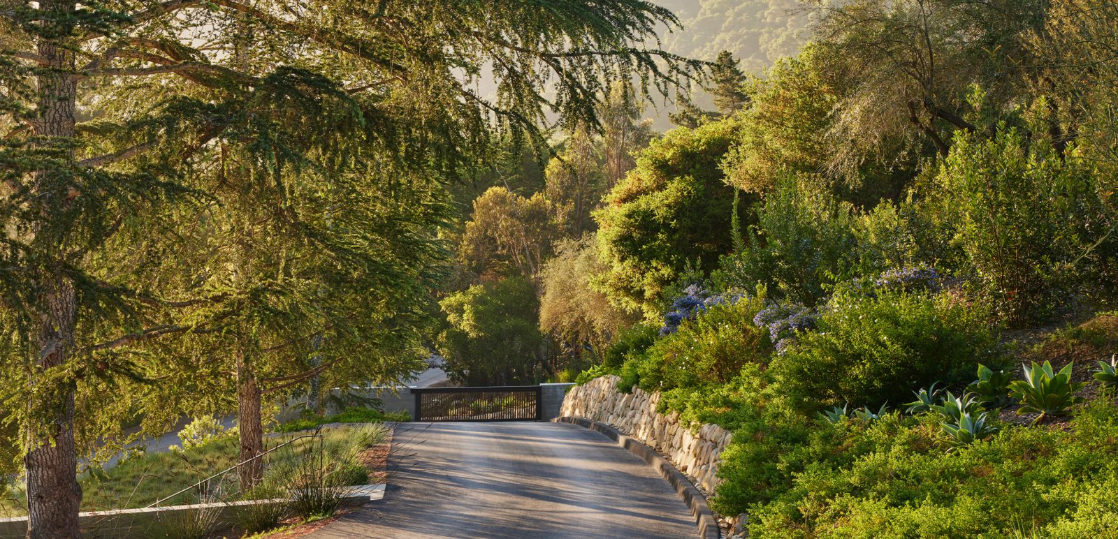 Capogrosso-Collage-1