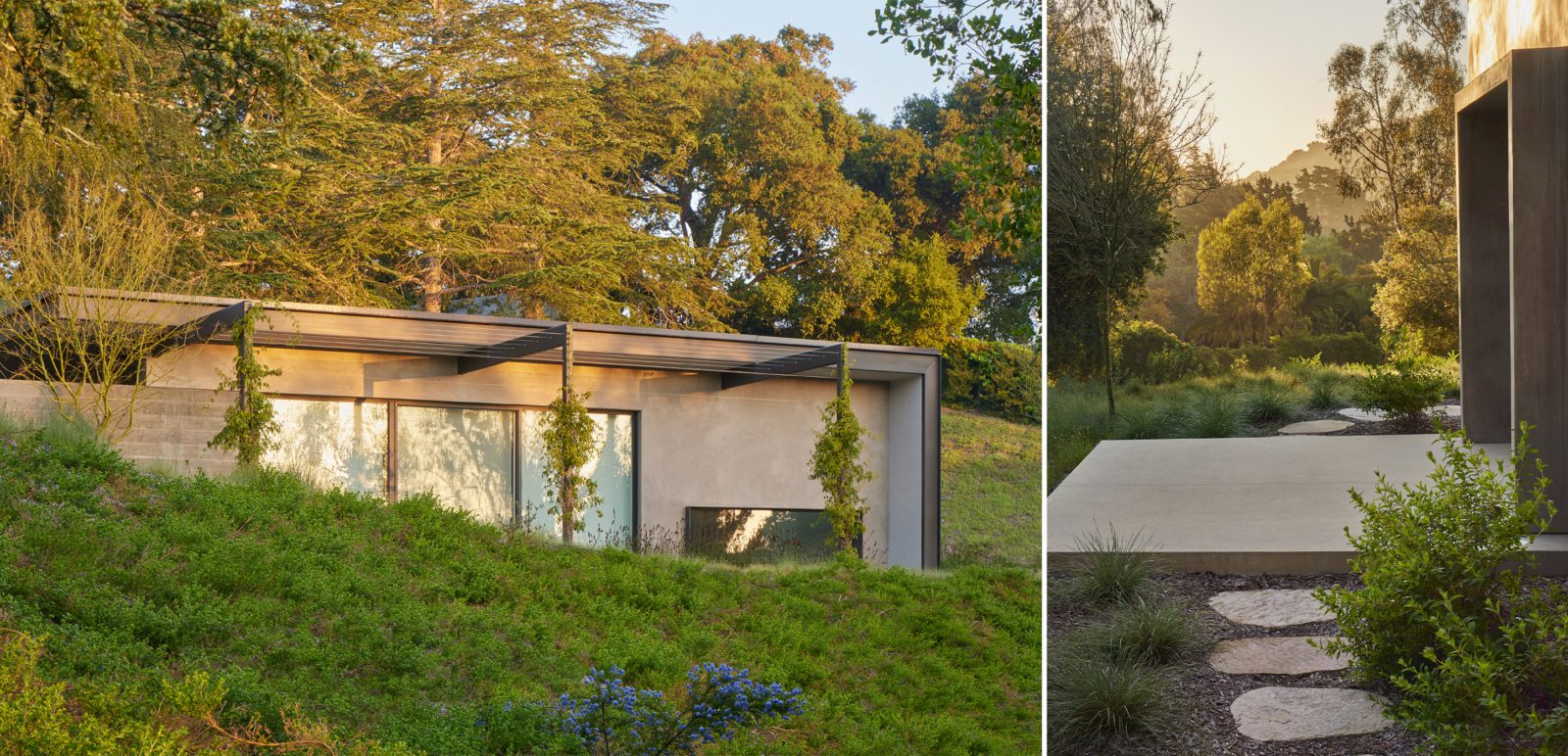 Capogrosso-Collage-3