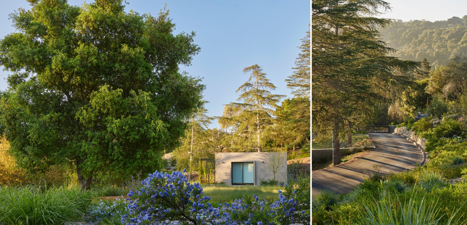 Capogrosso-Collage-4