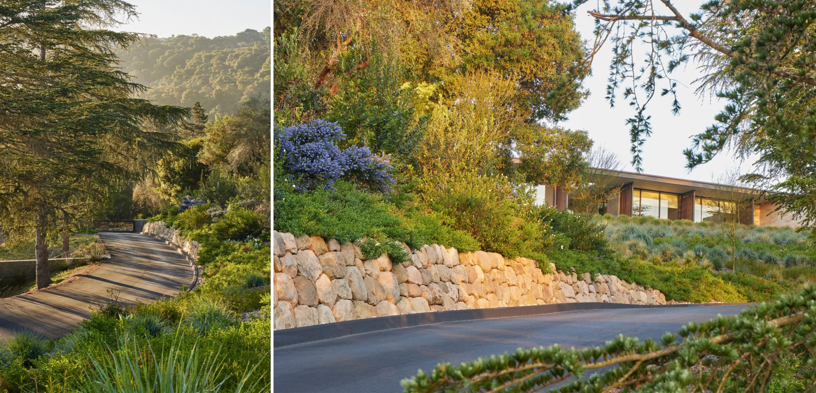 Capogrosso-Collage-5