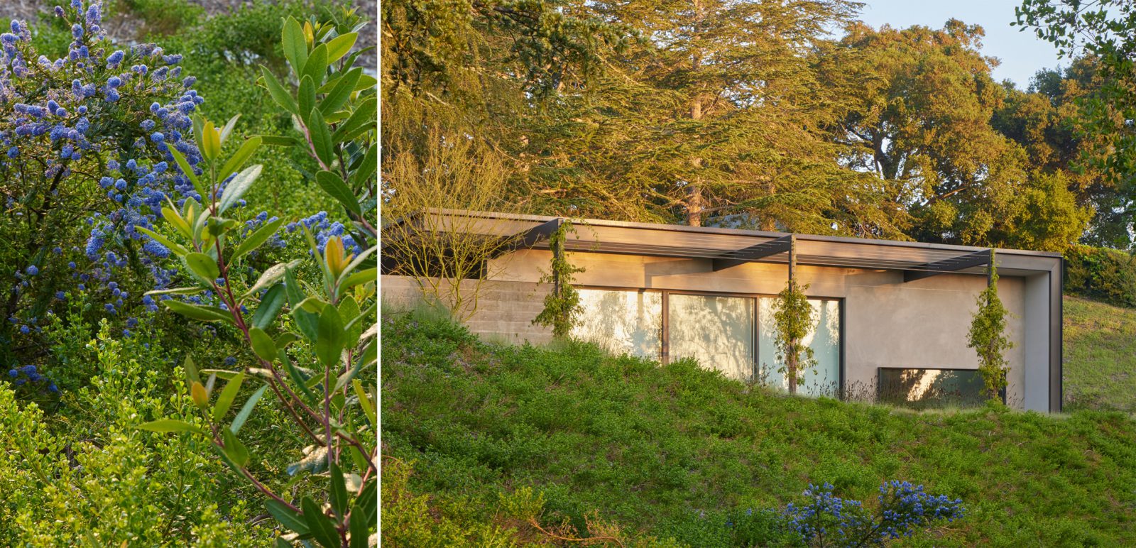 Capogrosso-Collage-8